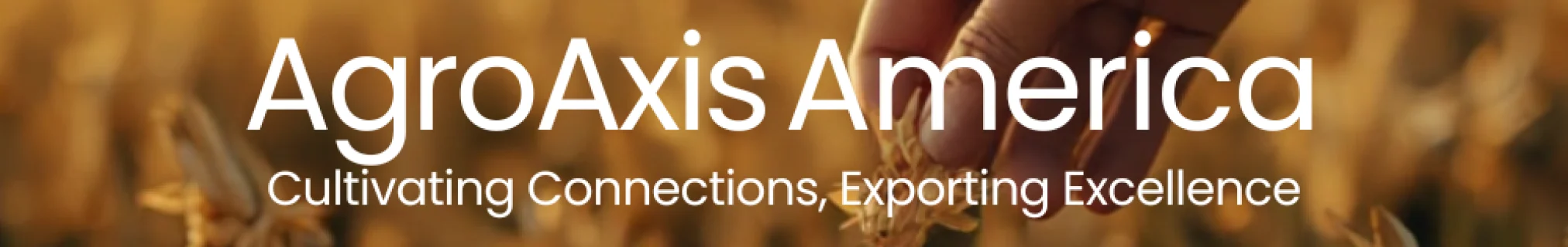 Cultivating-Connections-Exporting-Excellence.webp